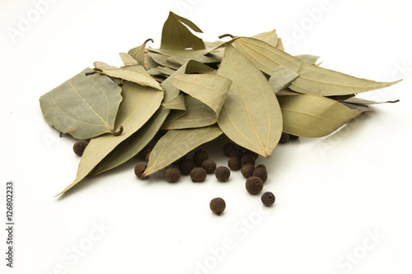 Obraz Allspice and bay leafs