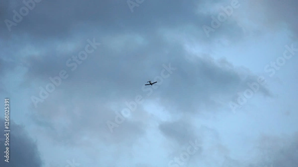 Obraz Flying in the open sky 