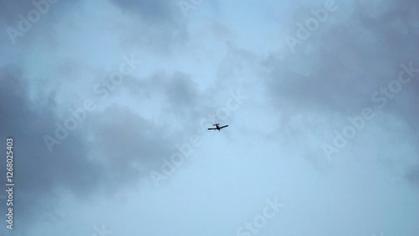 Obraz Flying in the open sky 