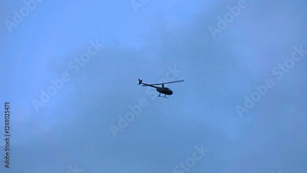 Obraz Flying in the open sky 