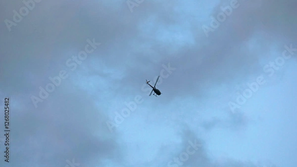 Fototapeta Flying in the open sky 