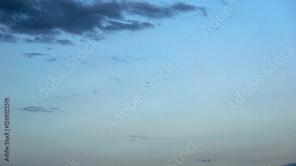 Obraz Flying in the open sky 