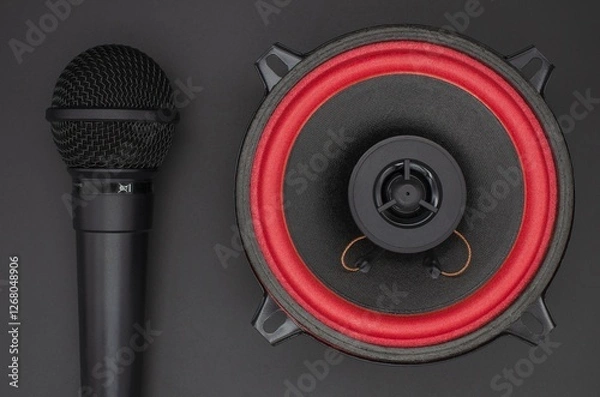 Fototapeta sound speaker and microphone on black background