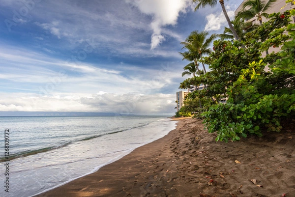 Obraz Serene Shores of Kahana Beach, West Maui