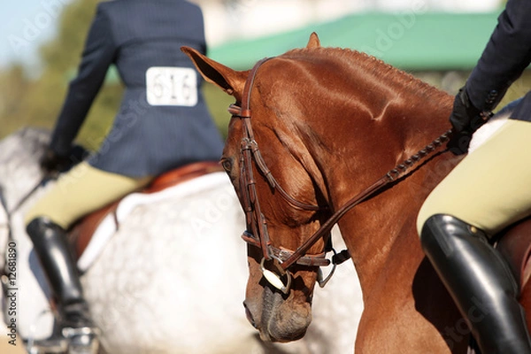Obraz Horses and Riders Before a Horse Show