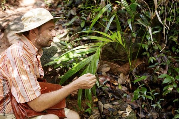Fototapeta Science, biology, ecology, research and people concept. Side view of handsome bearded ecologist or biologist in hat and with briefcase at field work holding some exotic plant and examining its leaf