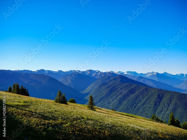 Fototapeta Hurricane Ridge in Olympic National Park and the surrounding mountains in morning light highlighting all the ridges and valleys