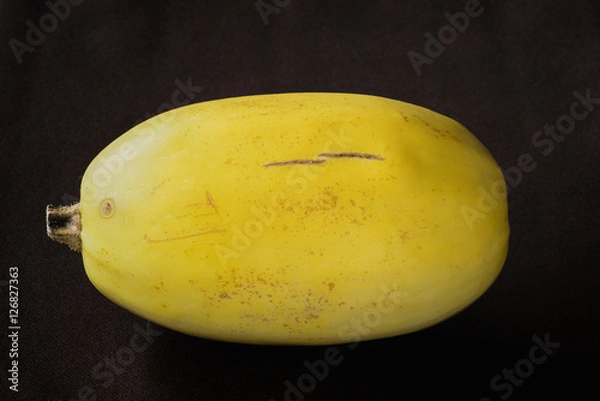 Fototapeta Spaghetti squash on black background