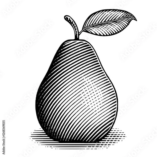 Obraz A vintage illustration of an pear on a surface with a leaf and shadow 