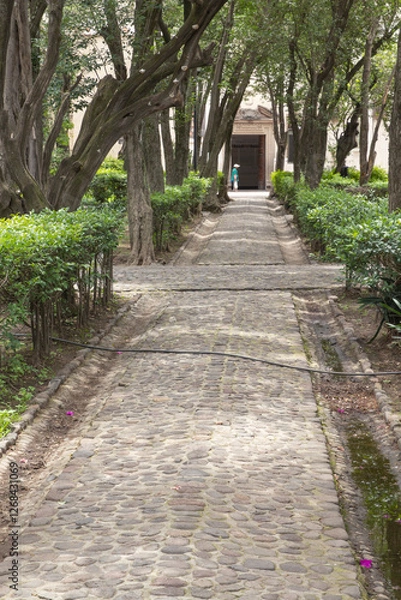 Obraz path in the park