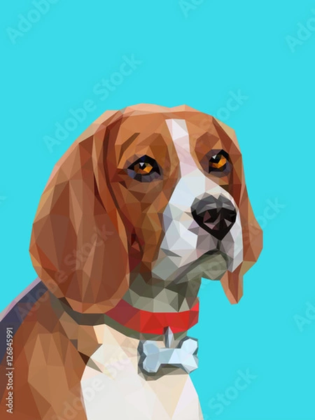 Fototapeta Low poly portrait of beagle dog.