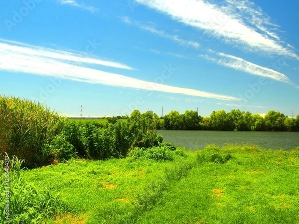 Fototapeta 猛暑日の誰もいない江戸川の河畔風景