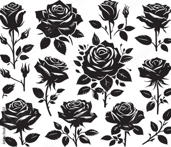 Fototapeta Black Color Roses Silhouette Vector Illustration design, Solid White Background