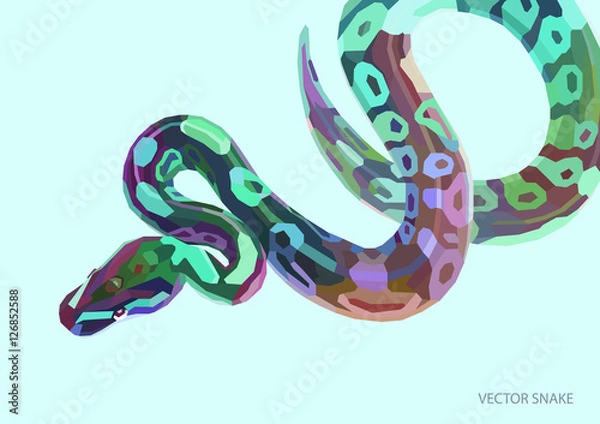 Fototapeta Cool varicoloured poster with lowpoly anaconda.