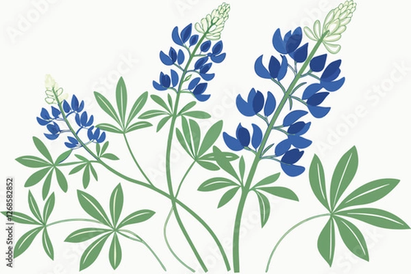 Fototapeta Native Texas bluebonnets with scattered green leaves in a lively design.