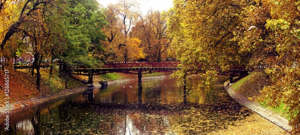 Obraz Wroclaw park in autumn 