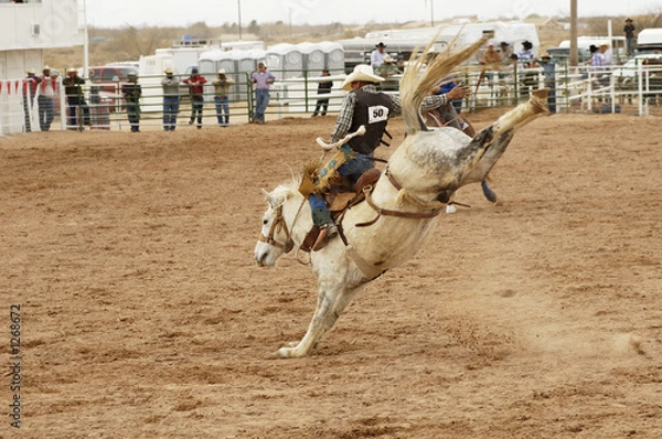 Obraz saddle bronc 1