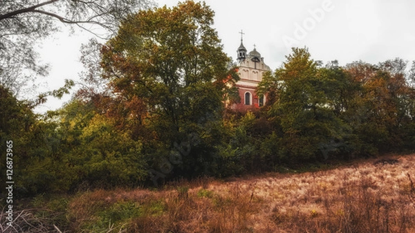 Obraz autum in the park