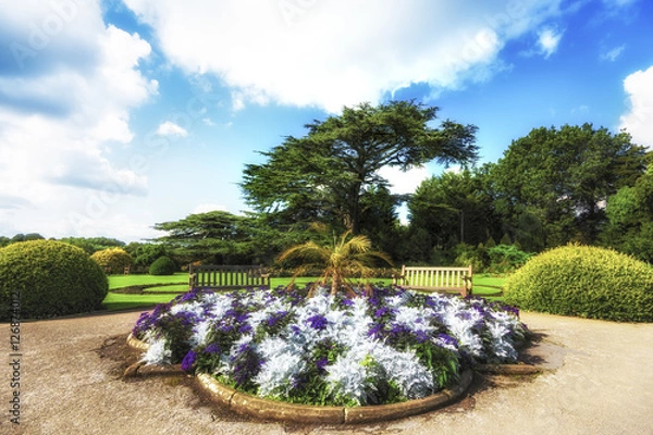 Obraz Path along trees in summer with blue sky