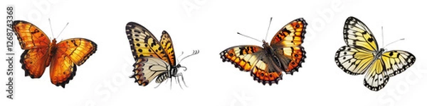 Fototapeta Isolated Butterfly Collection on White Background for Nature Illustration or Design Projects