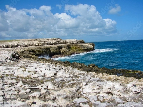 Fototapeta A rugged limestone coastline meets the deep blue ocean under a bright sky. Waves crash against the eroded cliffs, creating a dramatic and scenic seascape perfect for nature and adventure lovers.