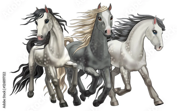 Obraz horses