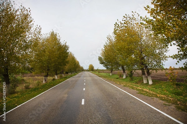 Fototapeta On the road