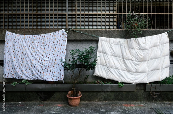 Obraz laundry drying in the sun