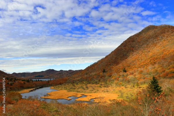 Obraz 赤城山の覚満淵