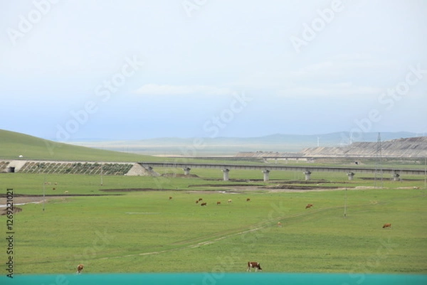 Obraz landscape with cows