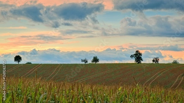 Obraz abendlicher Blick zum Horizont