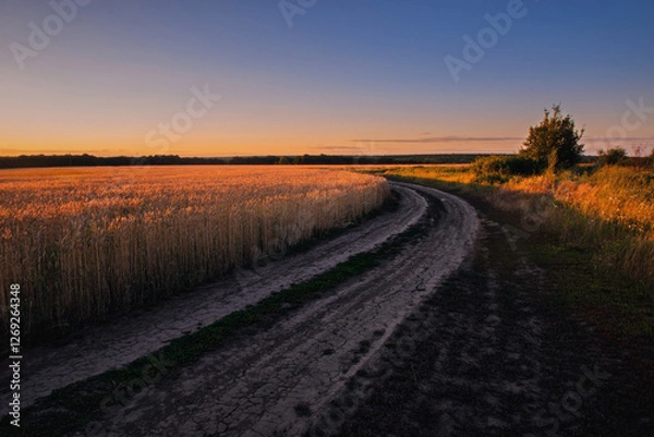 Fototapeta Golden wheat field embraces summer evening; warm sunset light evokes soft serenity through framing: Agriculture, environment, mindfulness