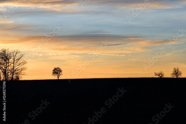 Obraz Baumsilhouetten im Abendrot