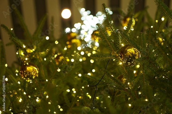 Fototapeta クリスマスイルミネーション