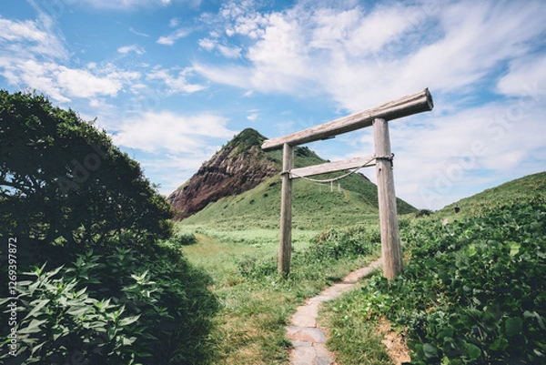 Fototapeta 山と鳥居

