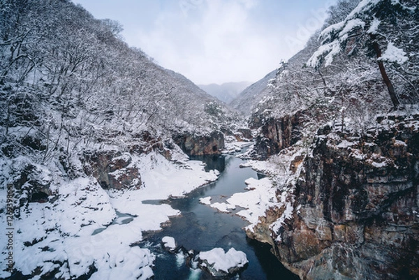 Fototapeta 冬の渓谷