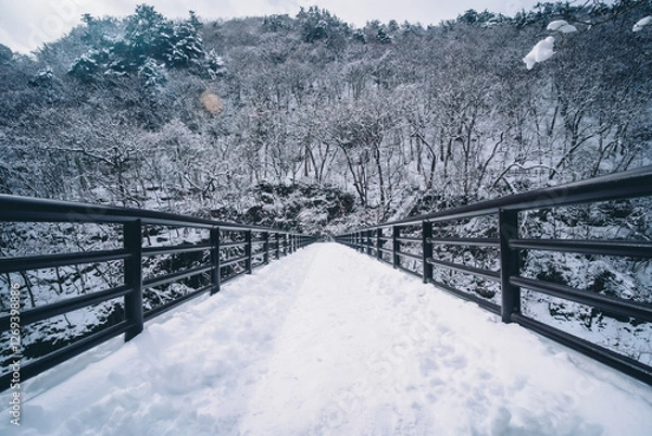 Fototapeta 雪が積もる橋