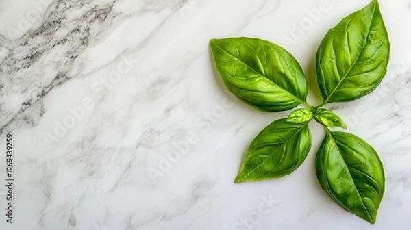 Obraz Fresh Basil Leaves on Marble Background