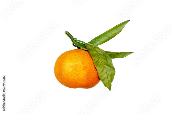 Obraz Mandarin with green leaves