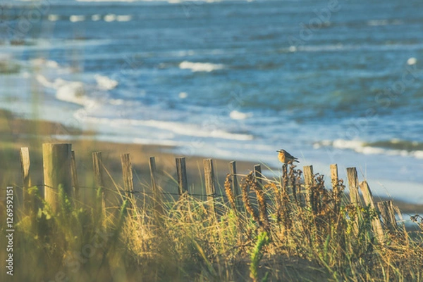 Obraz Seaside Serenity with a Bird on a Fence