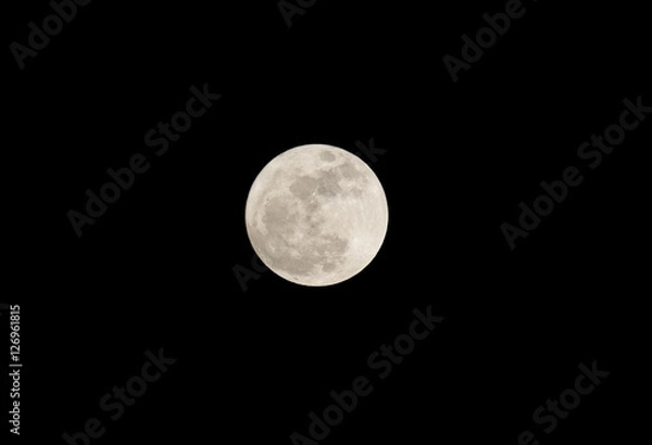 Fototapeta A full moon shines on a sky