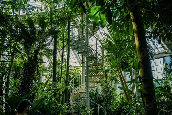 Fototapeta Vintage spiral staircase in a lush greenhouse in the Botanical Garden in Copenhagen. Spiral staircase surrounded by tropical plants, creating a fairytale-like atmosphere. 
