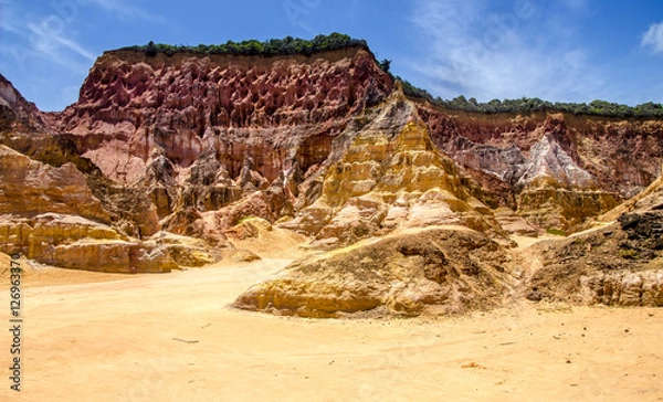 Fototapeta Northeast Brazil . Spectacular Cliffs near Gunga beach in Alagoas state .