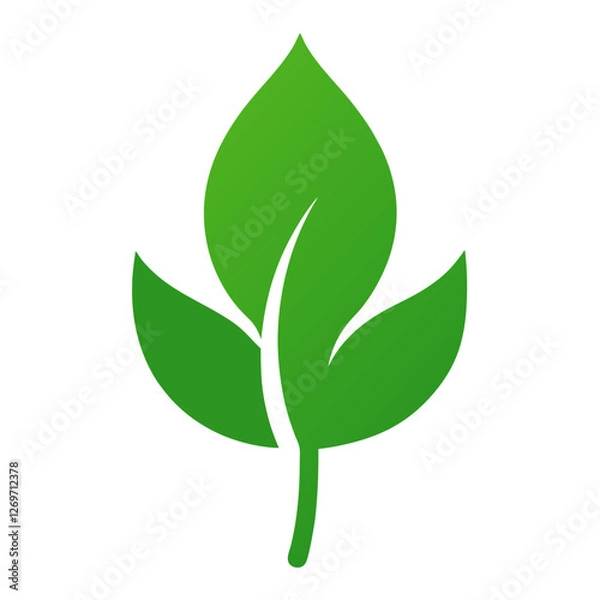 Fototapeta green leaf vector