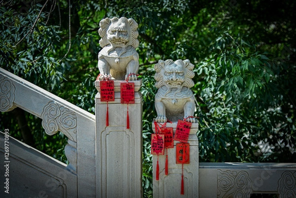 Obraz chinese lions statue