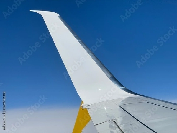 Obraz bout d'aile d'avion double winglets