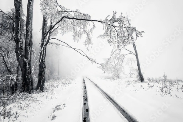 Obraz Winter road through a snowy landscape