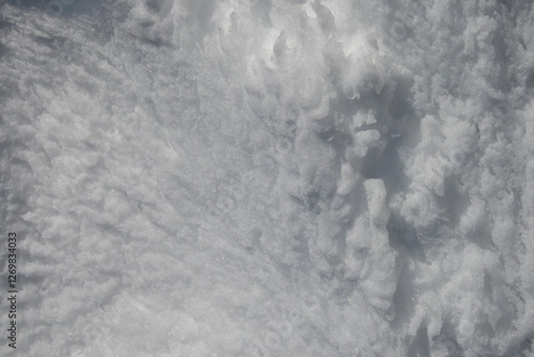 Obraz Snowy background