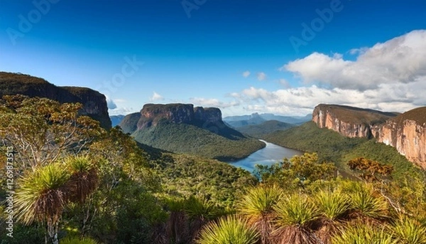 Obraz a stunning natural habitat in the national park of chapada dos veadeiros