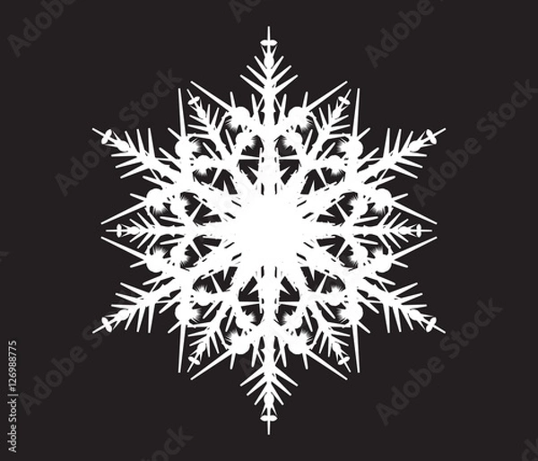 Obraz snowflake